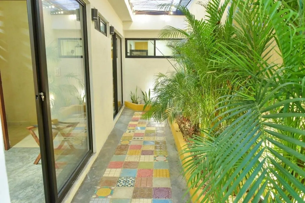 K An Nah Diseno Tropical Inspirado En El Jaguar Villa Merida